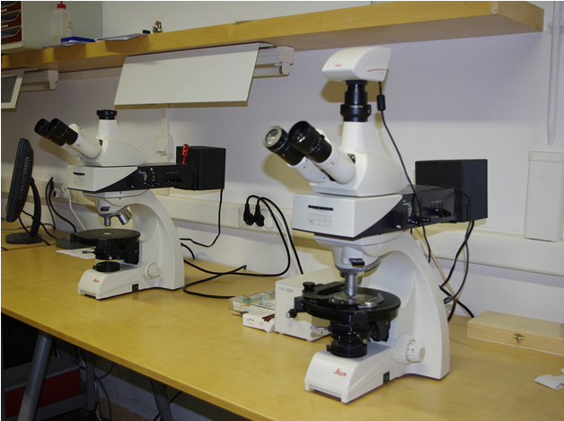 Figure 40