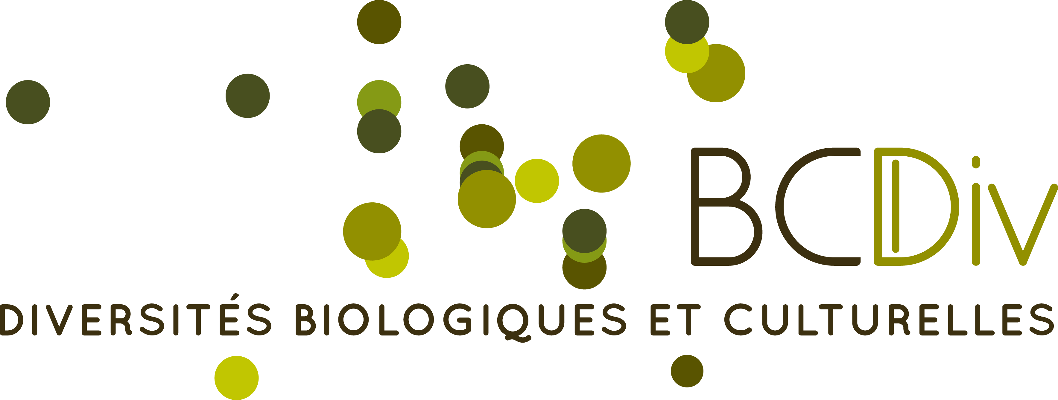 logoBCDIV
